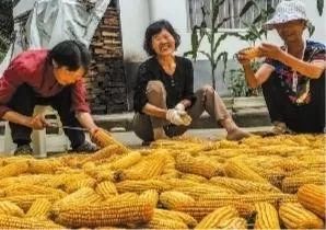 安康市富硒茶发展困境(安康富硒茶地理标志)-硒宝网