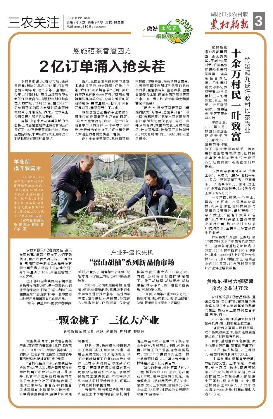 南昌富硒茶玉露多少钱(恩施玉露茶和富硒茶一样吗)-硒宝网