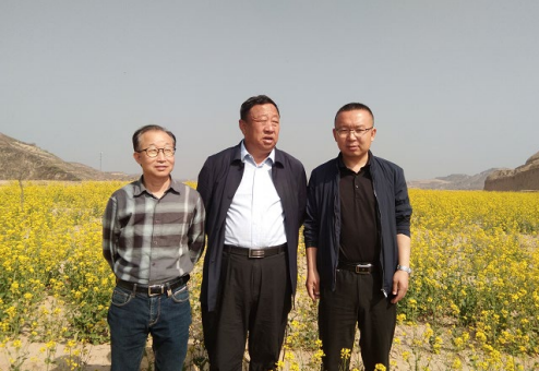 开发富硒茶的关键技术(富硒茶产业国内现状)-硒宝网