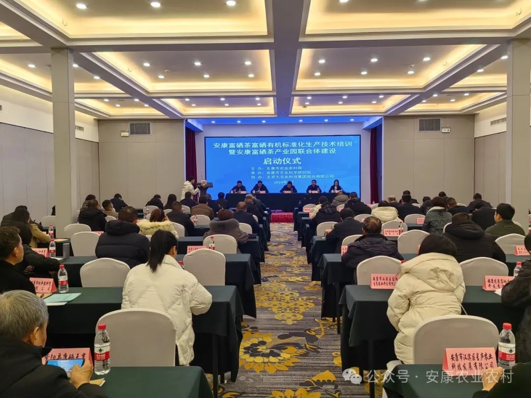 安康市富硒茶发展困境(安康富硒茶发展情况)-硒宝网