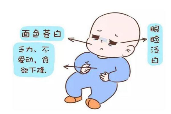 补铁最快的方法（如何补铁）-硒宝网