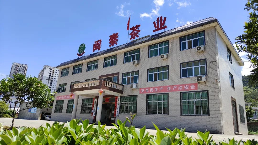 安康茶叶富硒茶蒿坪镇(安康富硒茶多少钱一斤汗水晨雾)-硒宝网