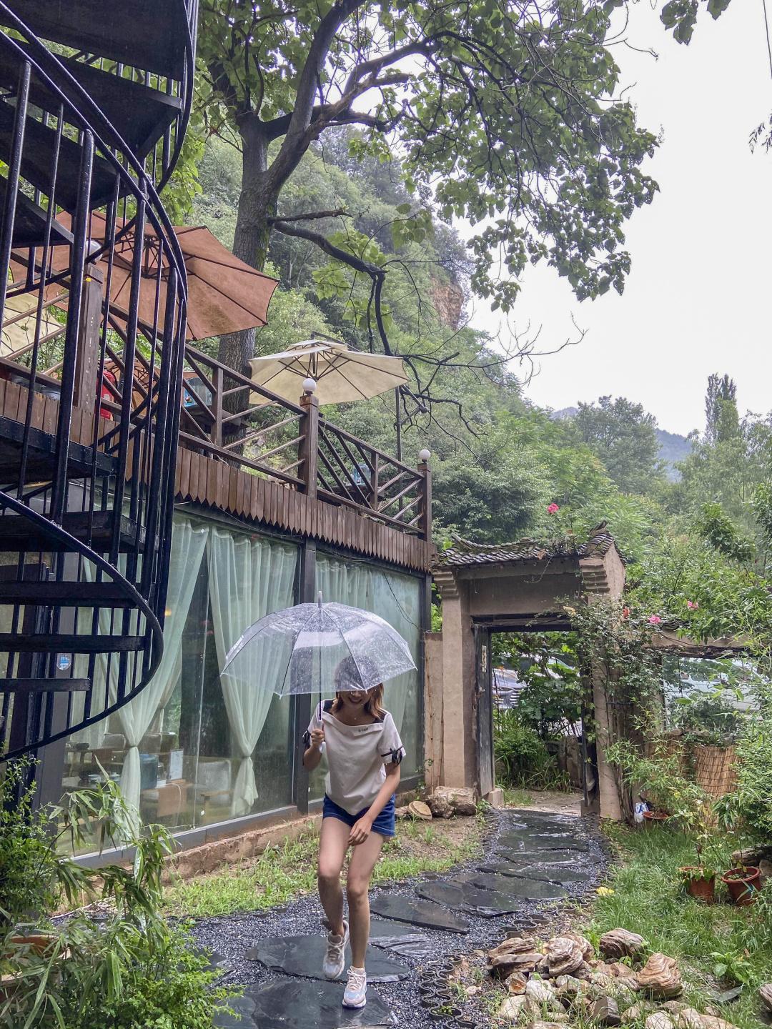 紫阳富硒茶选哪家的好（紫阳富硒茶多少钱一斤）-硒宝网