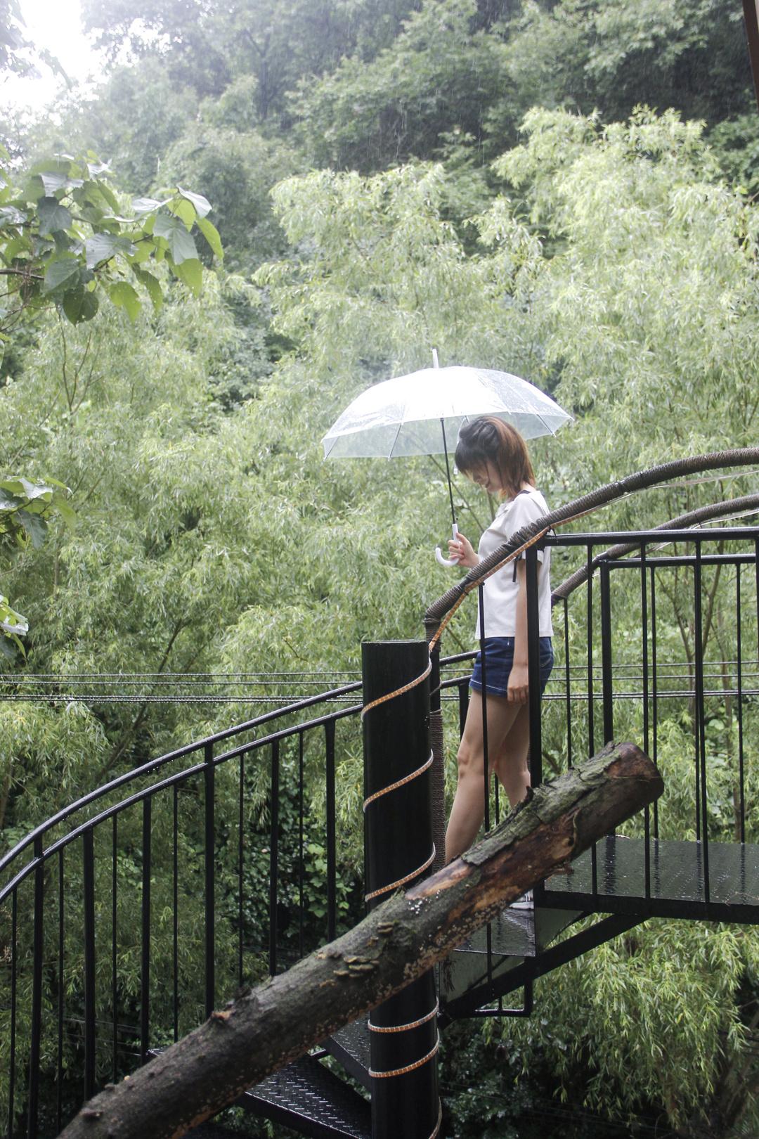 紫阳富硒茶选哪家的好（紫阳富硒茶多少钱一斤）-硒宝网