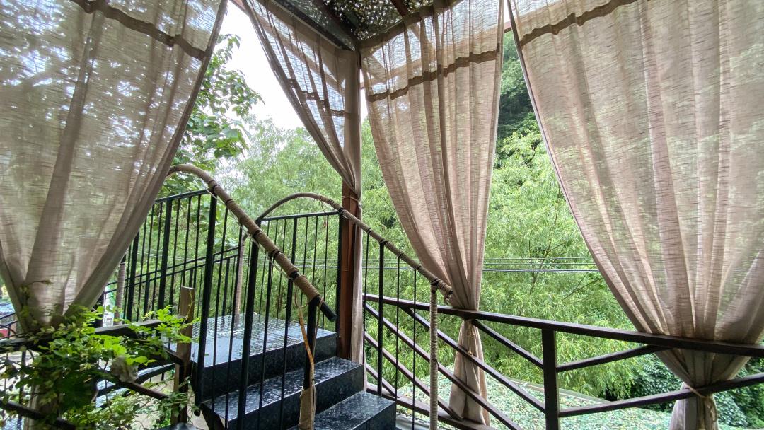 紫阳富硒茶选哪家的好（紫阳富硒茶多少钱一斤）-硒宝网