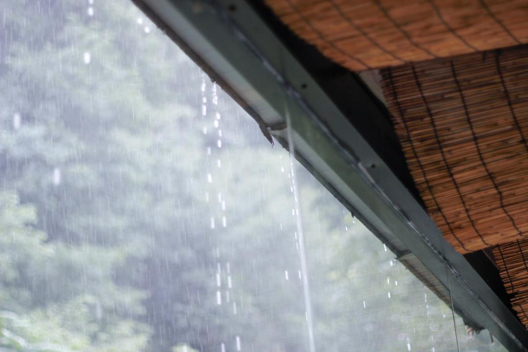 紫阳富硒茶选哪家的好（紫阳富硒茶多少钱一斤）-硒宝网