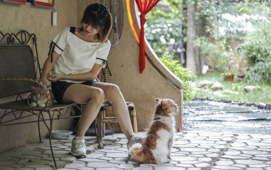 紫阳富硒茶选哪家的好（紫阳富硒茶多少钱一斤）-硒宝网