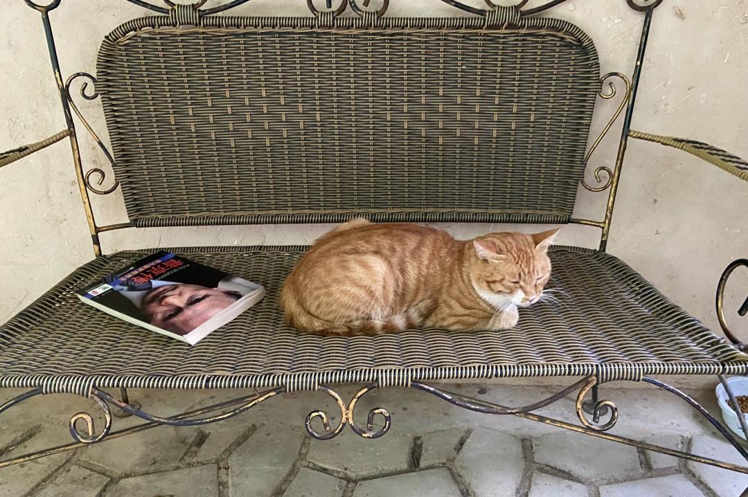 紫阳富硒茶选哪家的好（紫阳富硒茶多少钱一斤）-硒宝网