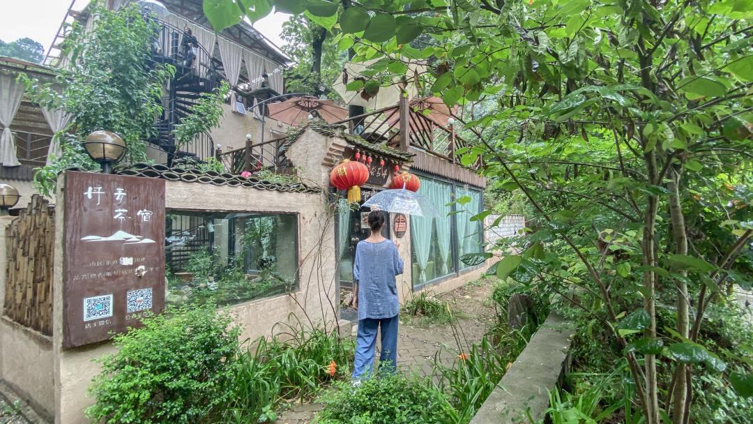 紫阳富硒茶选哪家的好（紫阳富硒茶多少钱一斤）-硒宝网