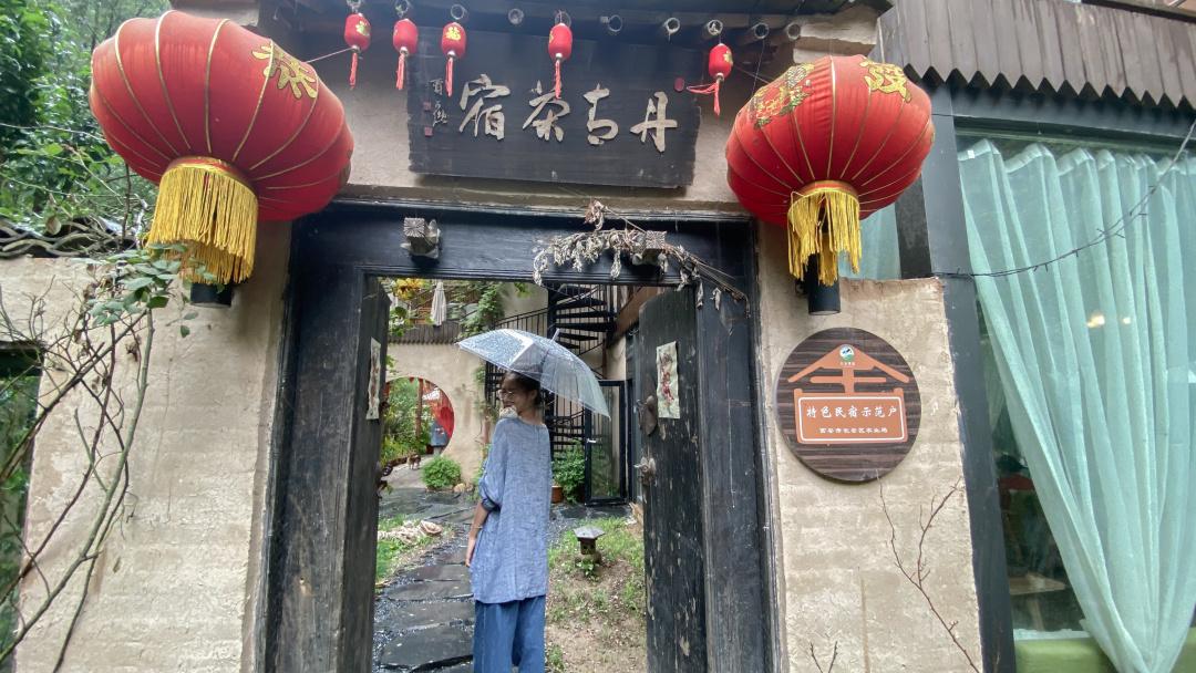 紫阳富硒茶选哪家的好（紫阳富硒茶多少钱一斤）-硒宝网