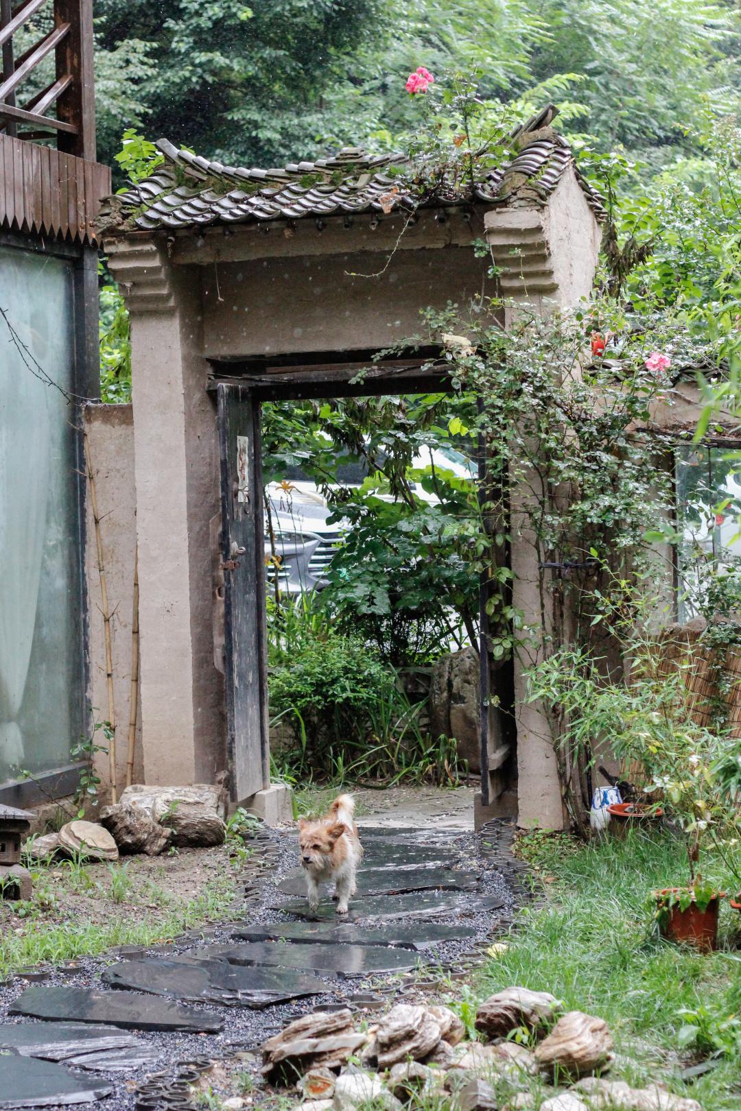 紫阳富硒茶选哪家的好（紫阳富硒茶多少钱一斤）-硒宝网