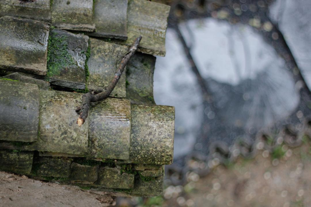 紫阳富硒茶选哪家的好（紫阳富硒茶多少钱一斤）-硒宝网