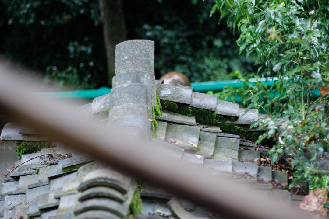 紫阳富硒茶选哪家的好（紫阳富硒茶多少钱一斤）-硒宝网