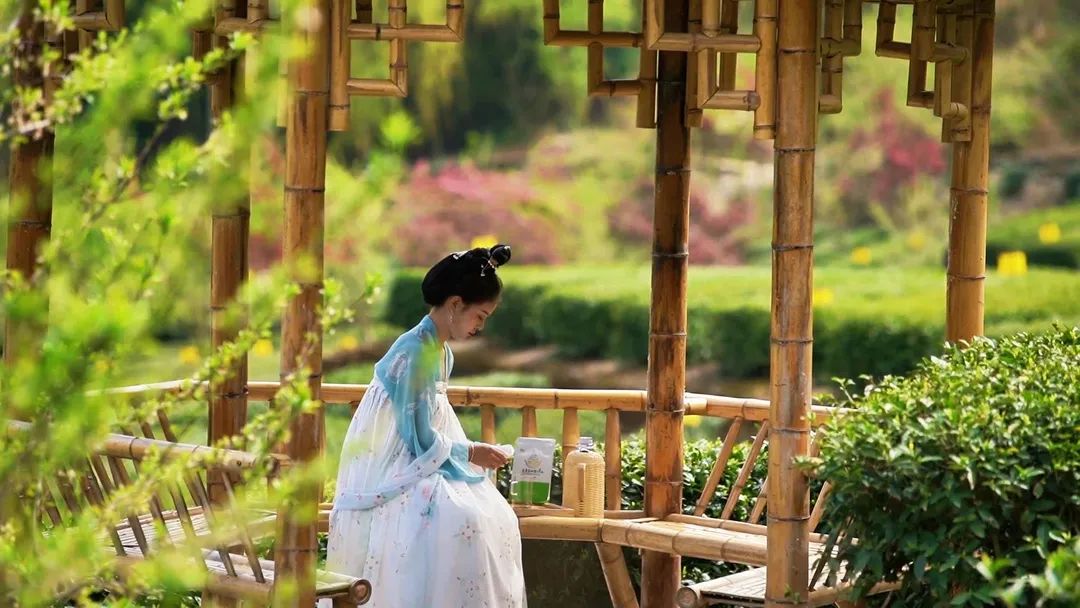 安康茶叶富硒茶蒿坪镇（安康富硒茶多少钱一斤）-硒宝网