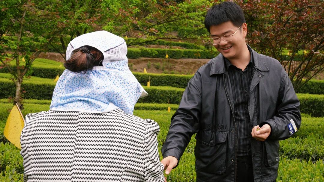 安康茶叶富硒茶蒿坪镇（安康富硒茶多少钱一斤）-硒宝网