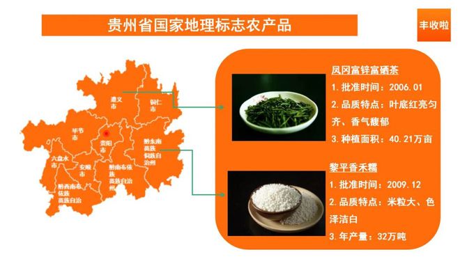 安康富硒茶研究院院长(安康富硒产业研究院人员名单)-硒宝网