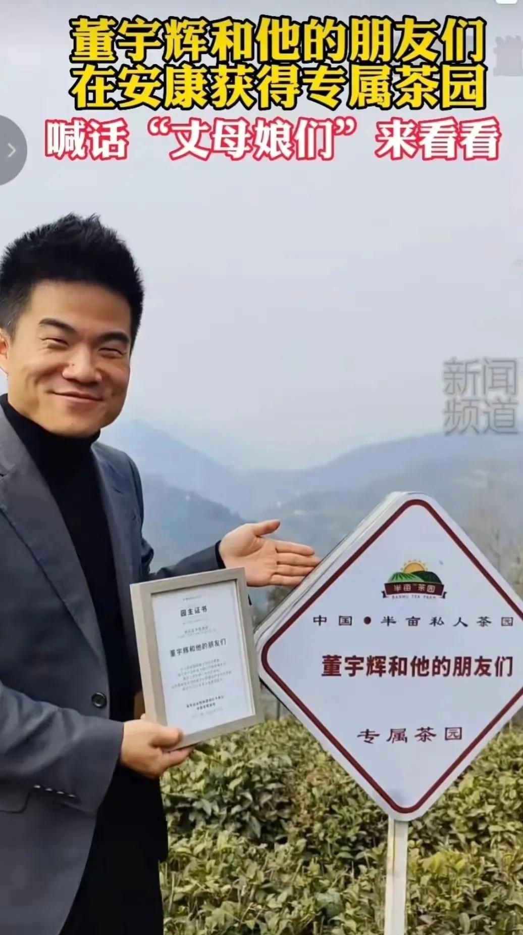 安康紫阳县富硒茶产地(陕西安康紫阳富硒茶的名气)-硒宝网