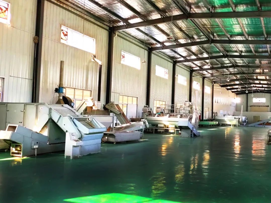 紫阳县富硒茶采摘时间（紫阳富硒茶产区）-硒宝网