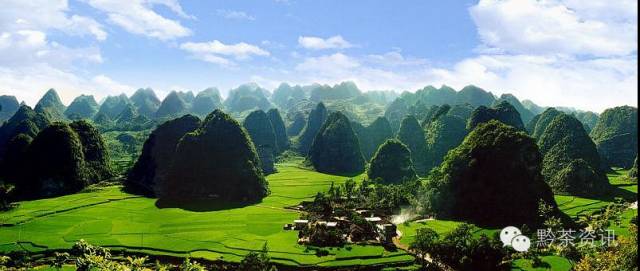 凤冈富硒茶哪里有卖呀(凤冈县富硒茶)-硒宝网