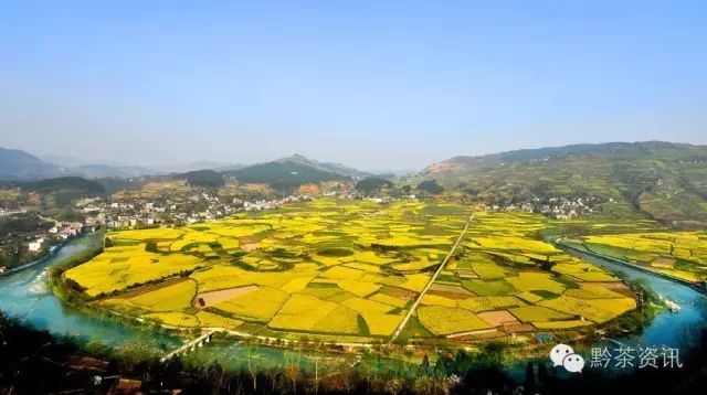 凤冈富硒茶哪里有卖呀(凤冈县富硒茶)-硒宝网