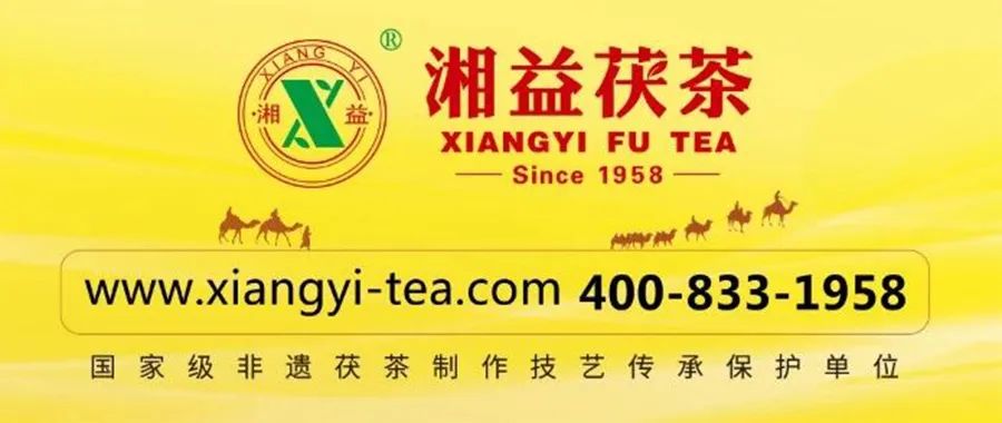 陕西紫阳县富硒茶开园(紫阳富硒茶园观光)-硒宝网