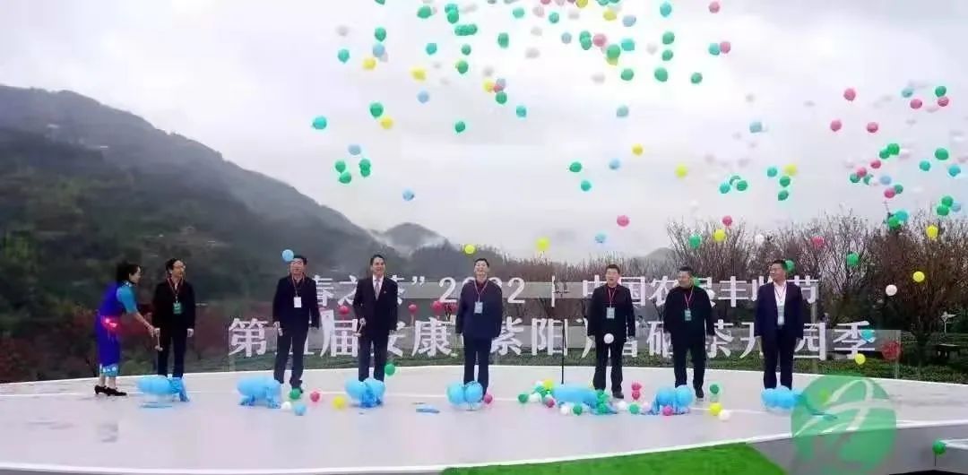 陕西紫阳县富硒茶开园(紫阳富硒茶园观光)-硒宝网