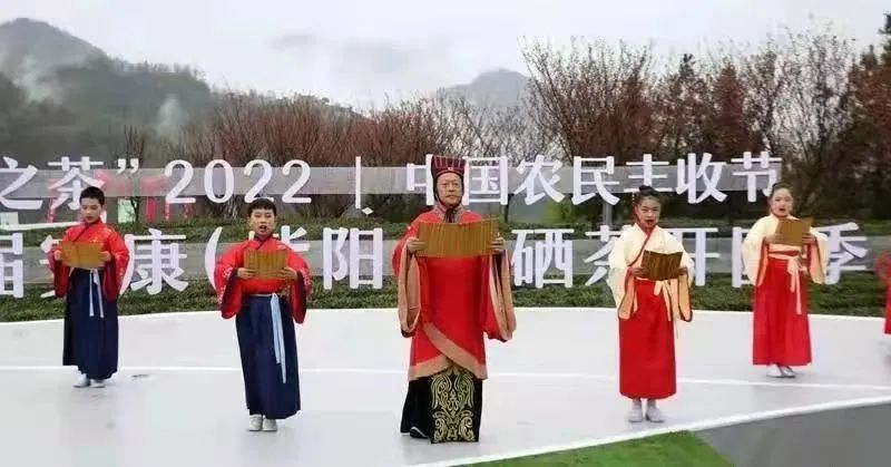 陕西紫阳县富硒茶开园(紫阳富硒茶园观光)-硒宝网