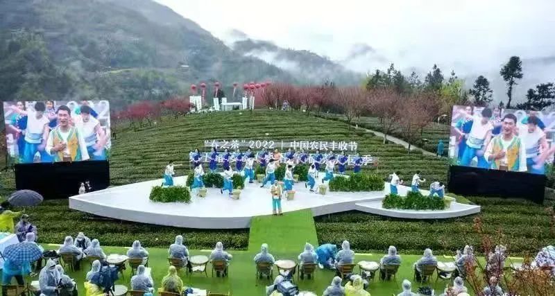 陕西紫阳县富硒茶开园(紫阳富硒茶园观光)-硒宝网
