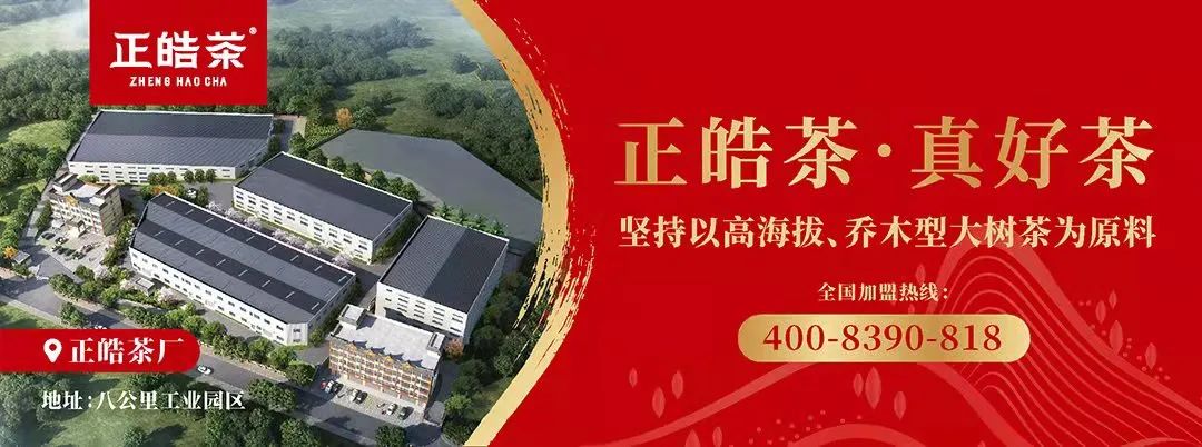 陕西紫阳县富硒茶开园(紫阳富硒茶园观光)-硒宝网