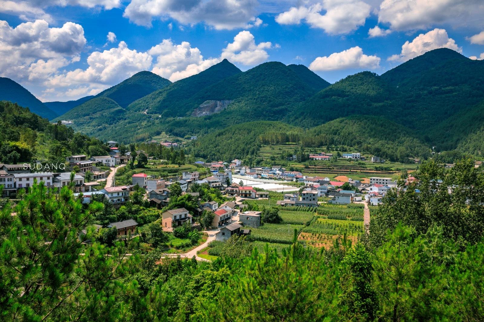 富硒茶哪个地方产的多（哪里产富硒茶）-硒宝网