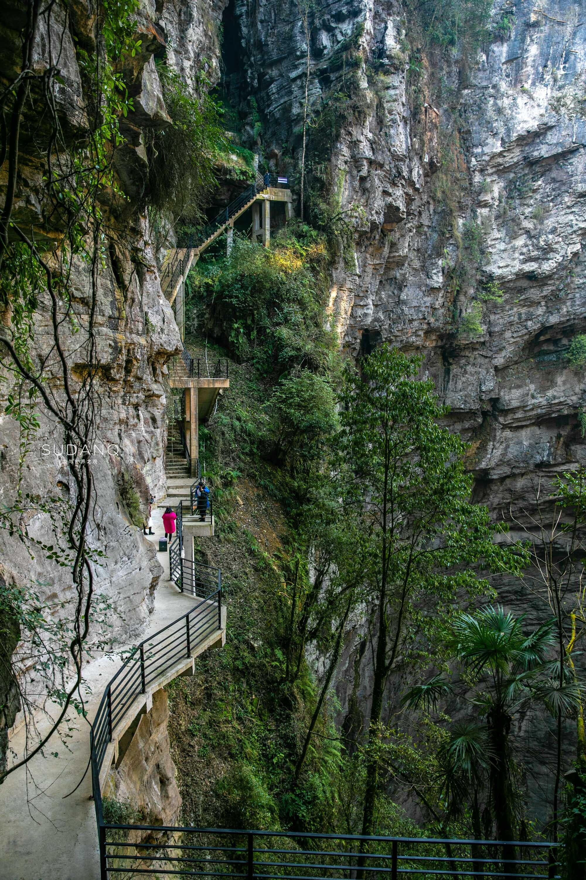 富硒茶哪个地方产的多（哪里产富硒茶）-硒宝网