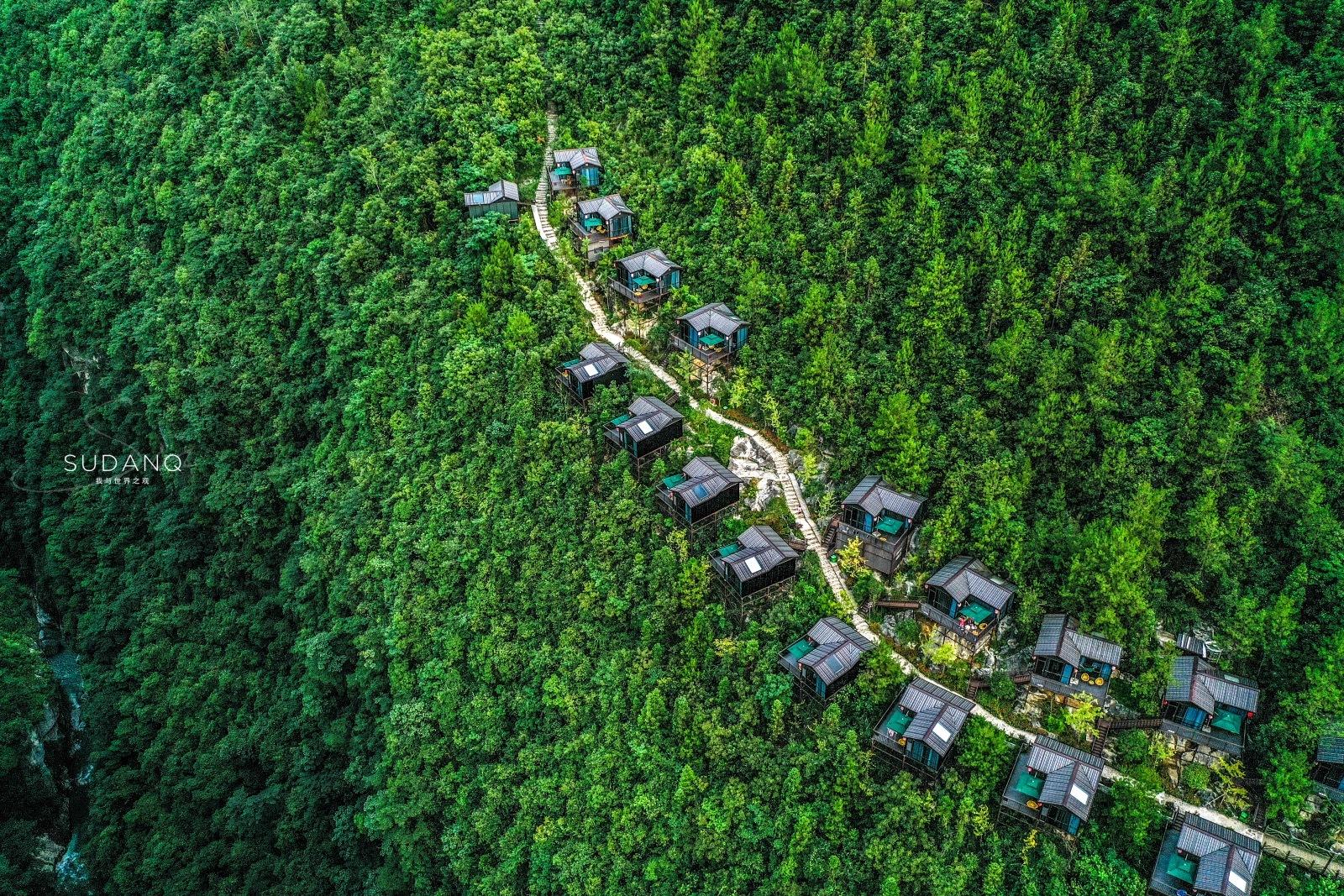 富硒茶哪个地方产的多（哪里产富硒茶）-硒宝网