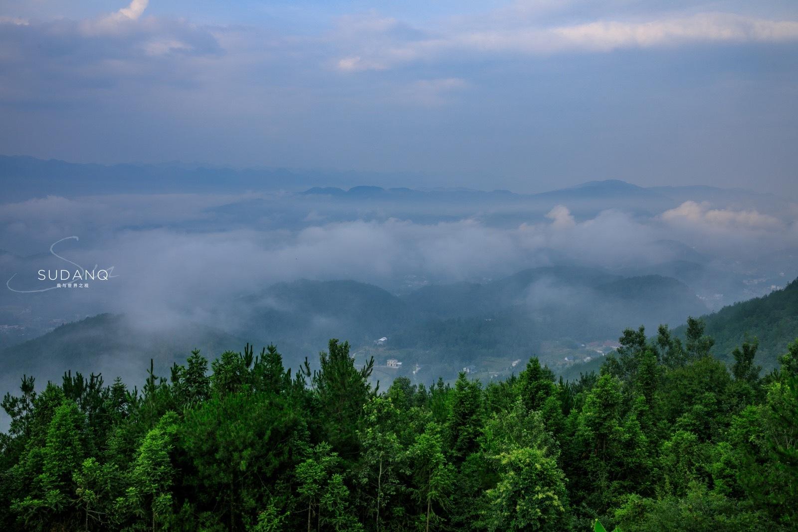 富硒茶哪个地方产的多（哪里产富硒茶）-硒宝网