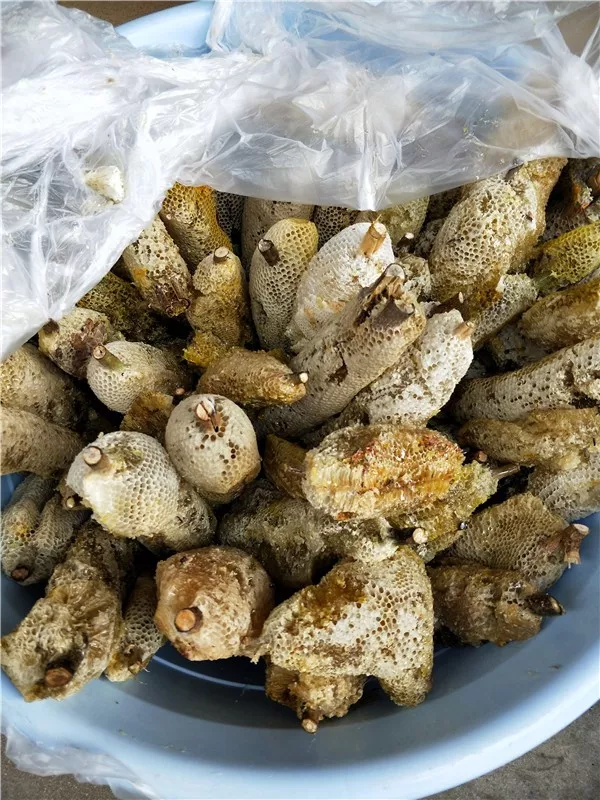 云南原生富硒茶怎么样(云南富硒茶属于什么茶)-硒宝网