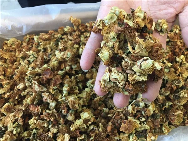 云南原生富硒茶怎么样(云南富硒茶属于什么茶)-硒宝网