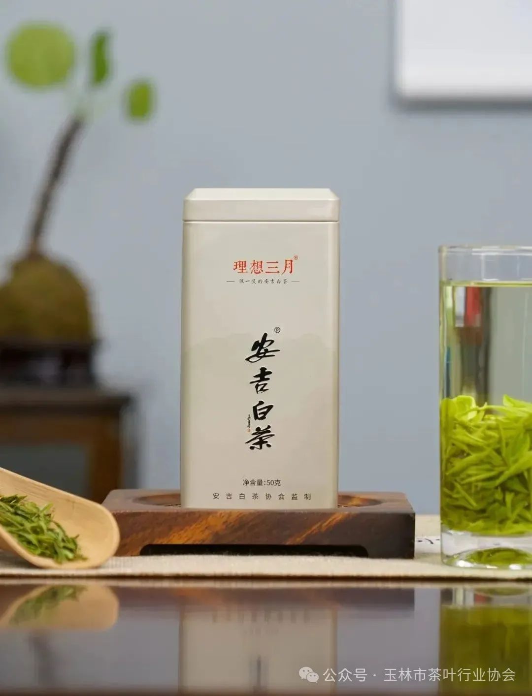 富硒茶属于绿茶吗对吗（绿茶富硒吗）-硒宝网