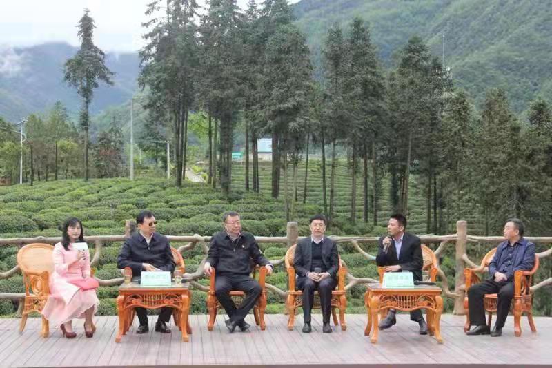 安康富硒茶和汉中仙毫(汉中仙毫茶厂)-硒宝网