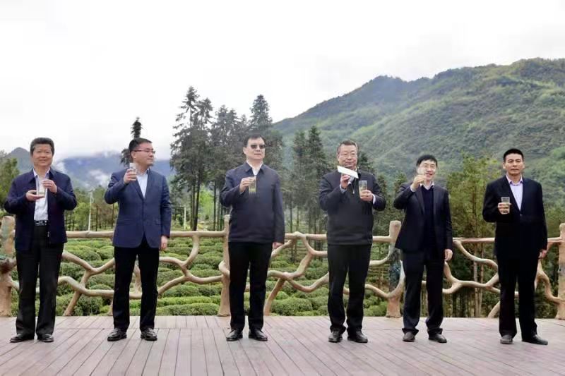 安康富硒茶和汉中仙毫(汉中仙毫茶厂)-硒宝网