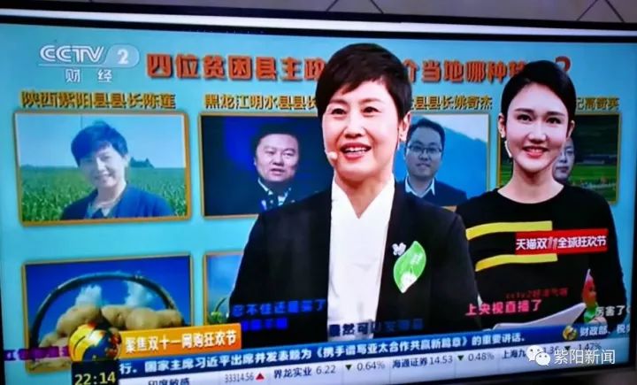 紫阳富硒茶卖向哪里了（紫阳富硒茶为什么走不出陕西）-硒宝网