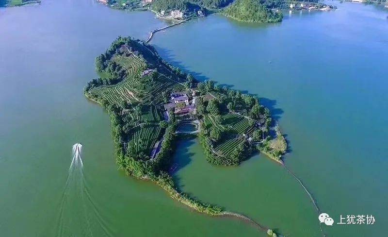 富硒茶什么牌的好喝点(喝富硒茶能补硒吗)-硒宝网