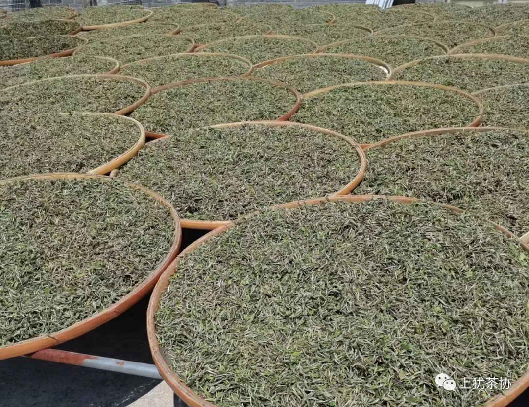 富硒茶什么牌的好喝点(喝富硒茶能补硒吗)-硒宝网