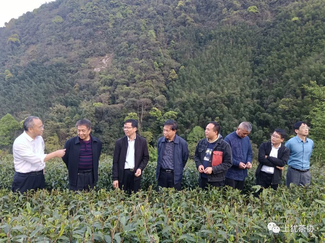 富硒茶什么牌的好喝点(喝富硒茶能补硒吗)-硒宝网