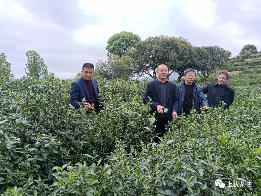 富硒茶什么牌的好喝点(喝富硒茶能补硒吗)-硒宝网