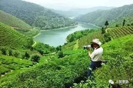 富硒茶什么牌的好喝点(喝富硒茶能补硒吗)-硒宝网