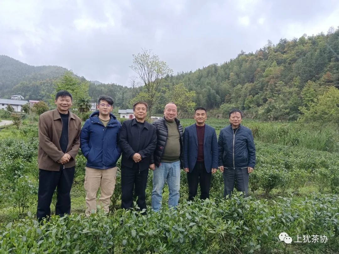 富硒茶什么牌的好喝点(喝富硒茶能补硒吗)-硒宝网