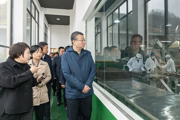 安康富硒茶和汉中仙毫（汉中仙毫茶叶多少钱）-硒宝网