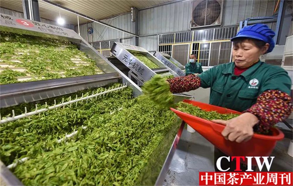 高质量恩施富硒茶公司（恩施富硒茶企业）-硒宝网