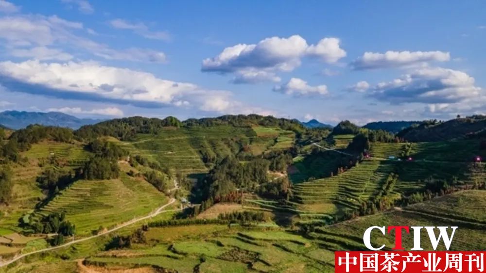 高质量恩施富硒茶公司（恩施富硒茶企业）-硒宝网