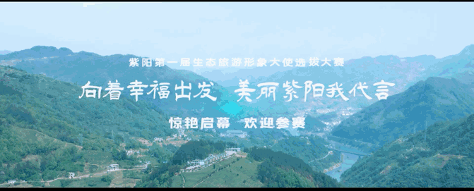 安康富硒茶白茶怎么样(安康富硒特级茶多少钱一斤)-硒宝网