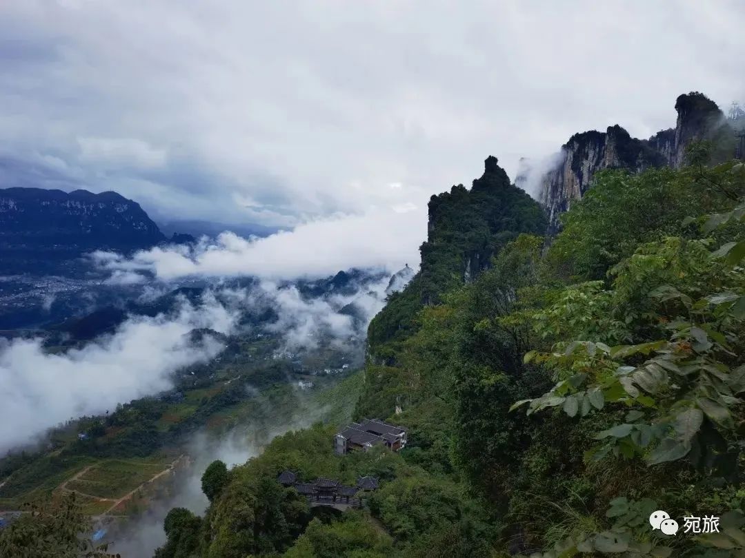 孕妇能喝恩施富硒茶吗（孕妇能喝富硒康吗）-硒宝网